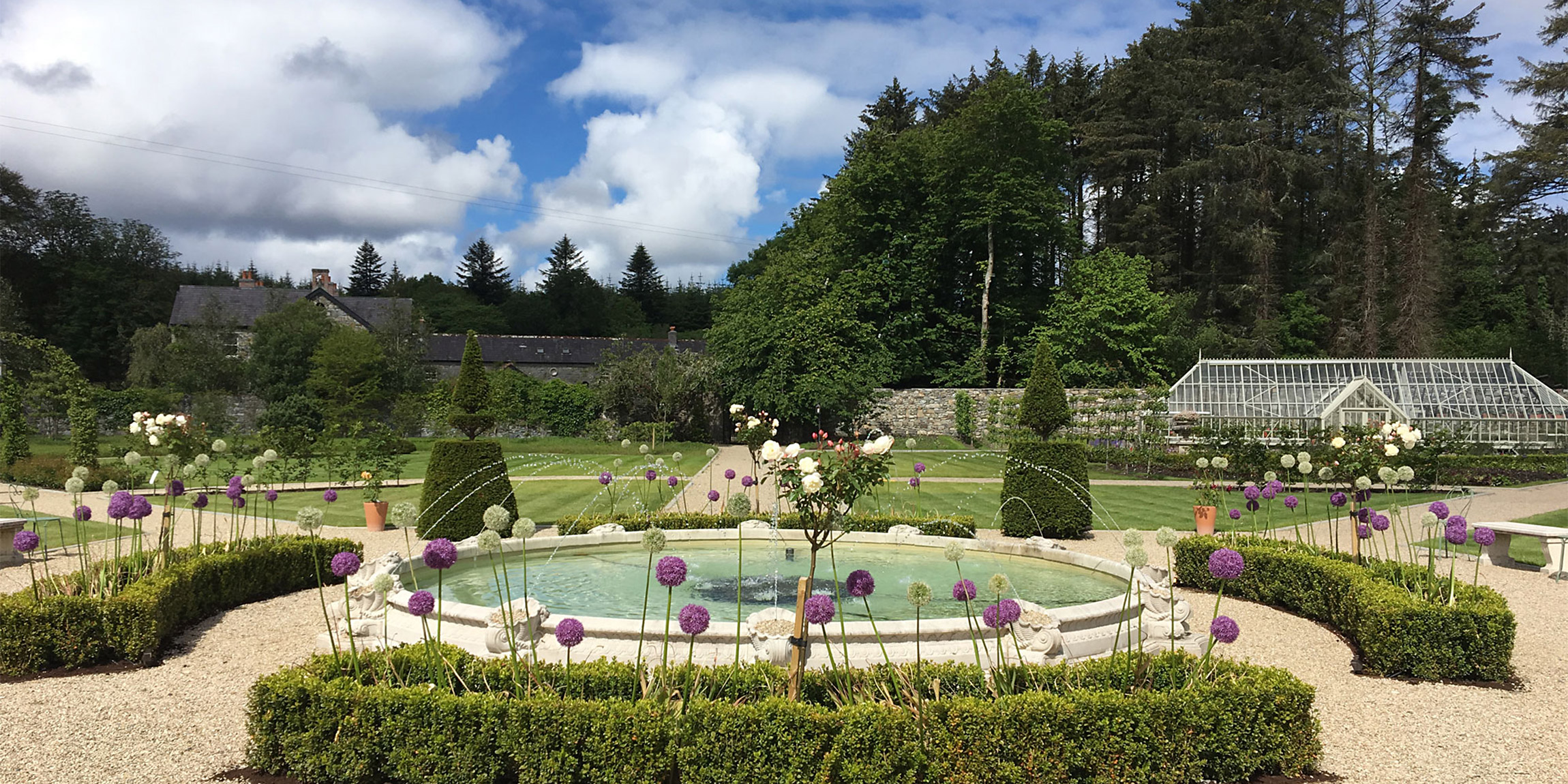 Fountain June Ballynahinch 1