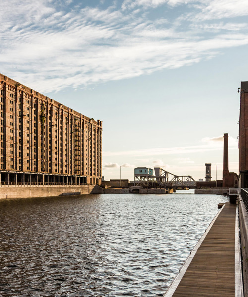 THL Portfolio Header